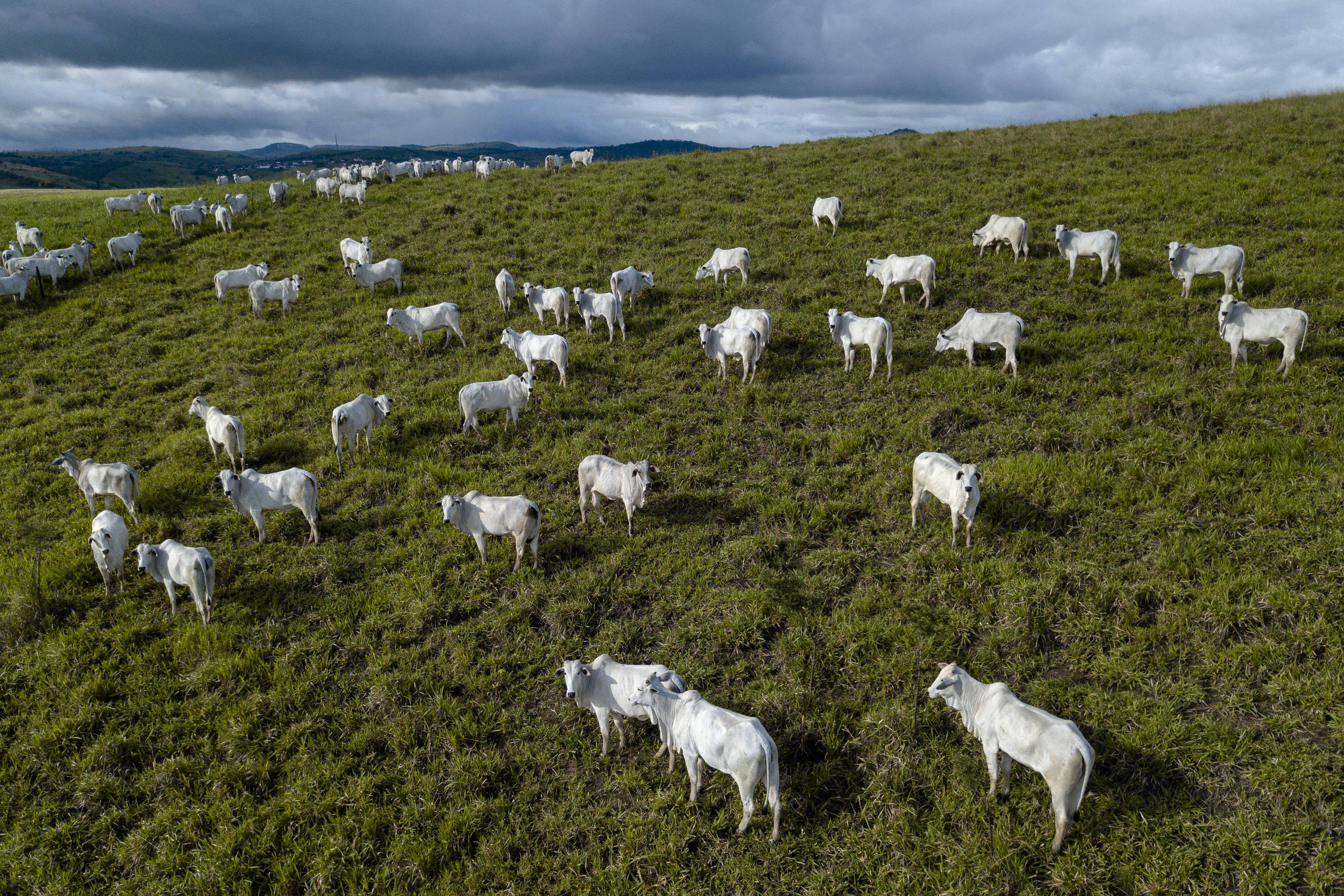 Lira consegue reintegração de posse em área que nunca declarou à Justiça Eleitoral