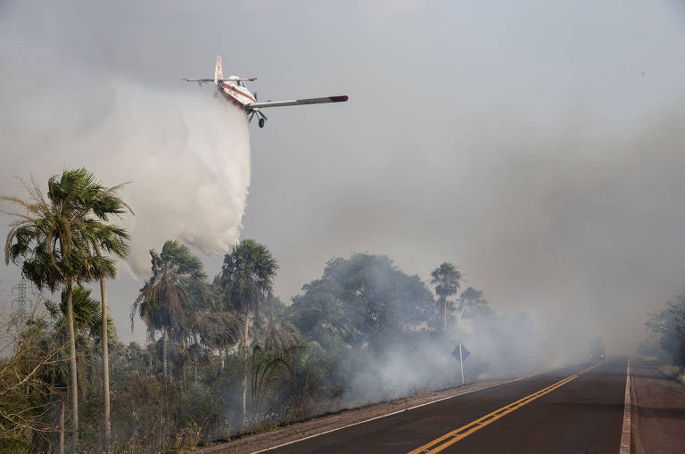 Atualização sobre o fogo no Pantanal – 23/11/2023 - IHP