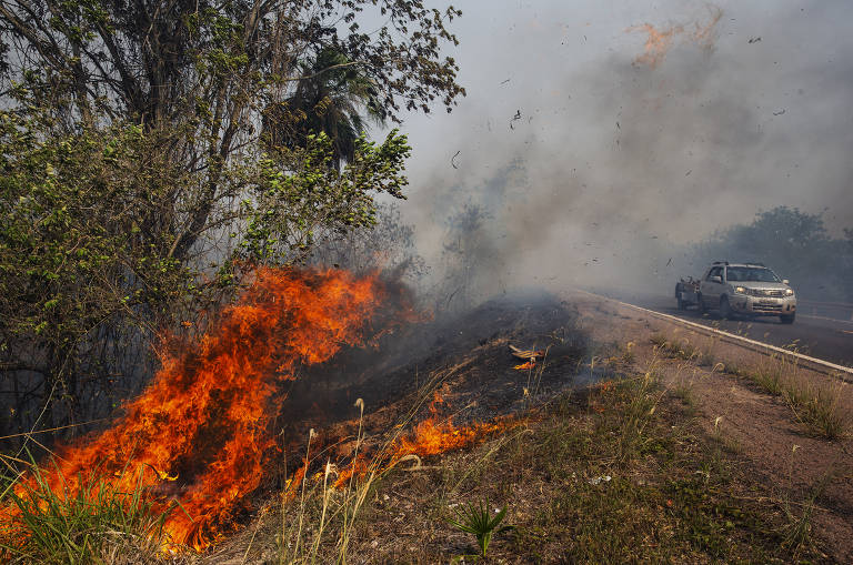 Incêndios causam 'neve' de cinzas em cidade do pantanal em Mato Grosso do Sul