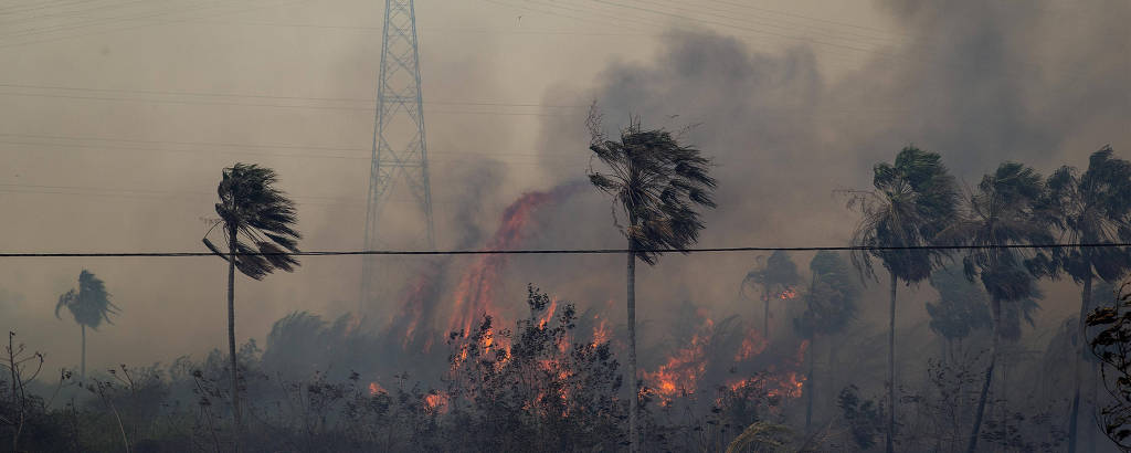 Torre ao fundo com o céu encoberto de fumaça; à frente há chamas perto de palmeiras