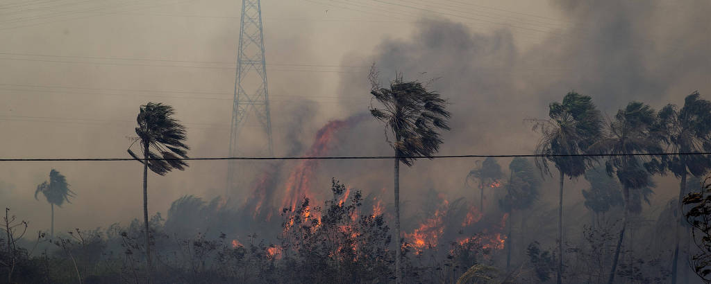 Atualização sobre o fogo no Pantanal – 23/11/2023 - IHP