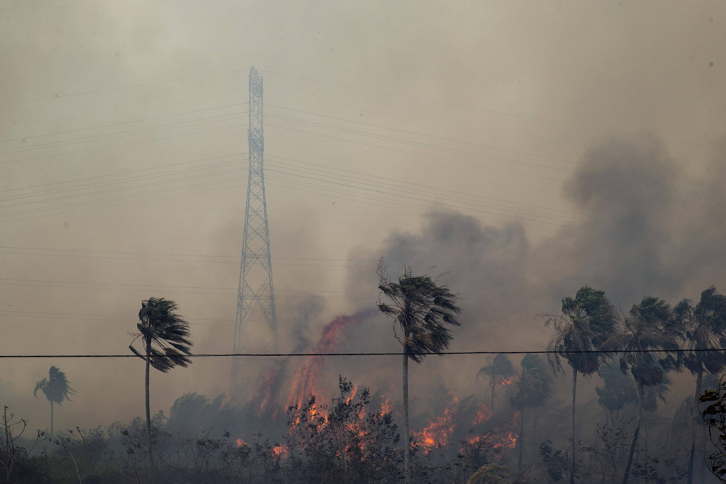 Atualização sobre o fogo no Pantanal – 23/11/2023 - IHP