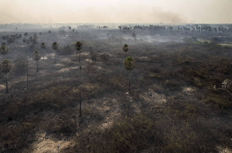 Moradores do pantanal estão cercados por fogo recorde em novembro, mês atípico para queimadas