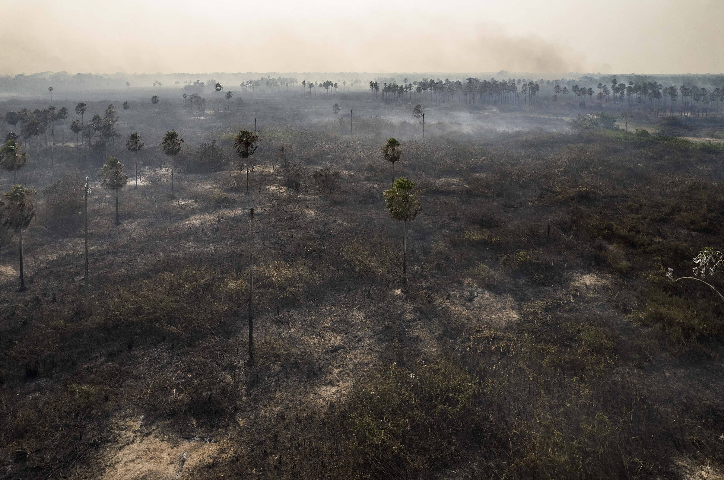 Rains put out fires in the Pantanal – 11/20/2023 – Environment