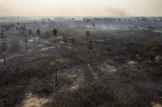 Pantanal enfrenta nova onda de incendios: Area queimada de fazendas proximo a BR 262  na cidade de Miranda