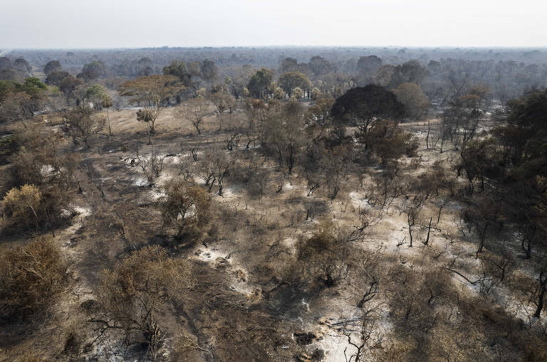 Atualização sobre o fogo no Pantanal – 23/11/2023 - IHP