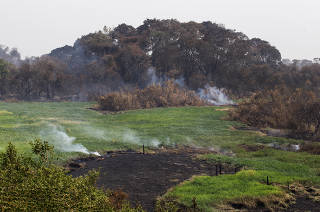 Pantanal enfrenta nova onda de incendios: Area atingida por incendio proximo ao rio Miranda na comunidade Passo do Lontra