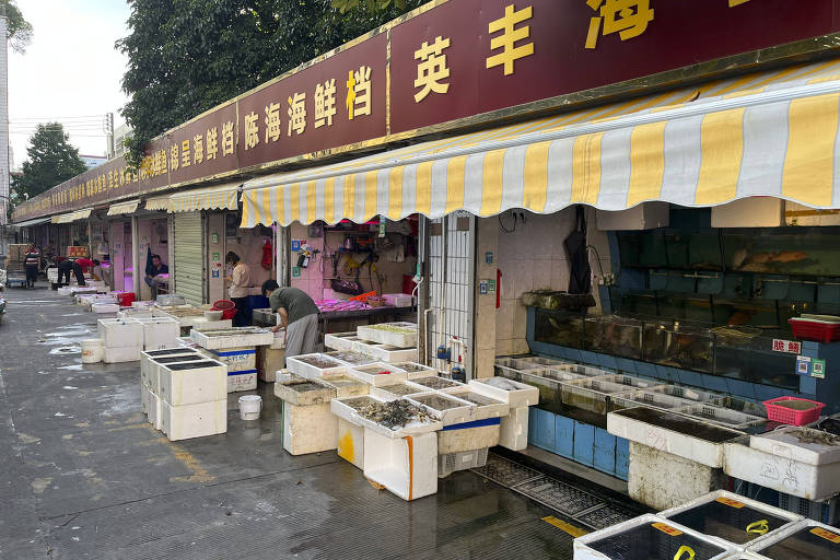 Mercado de frutos de mar em rua de Shenzhen, na China