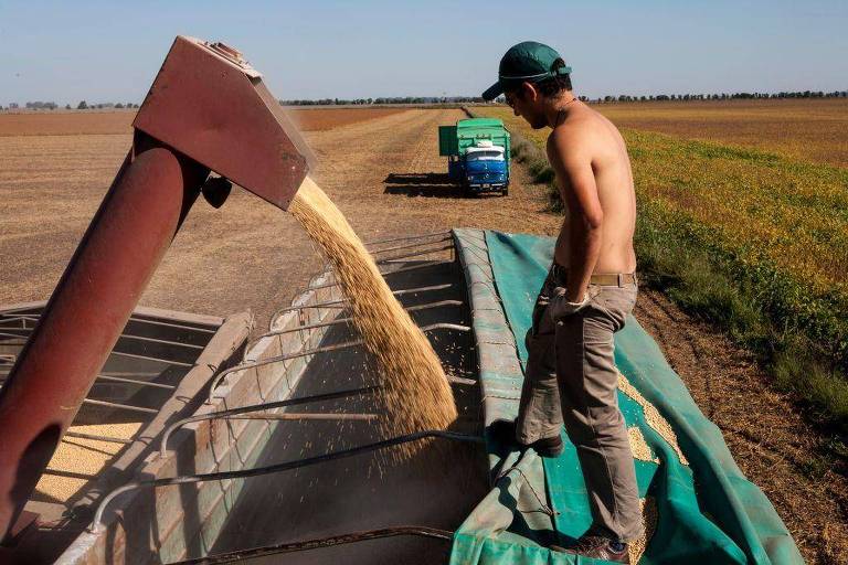 Trabalhador rural em colheita de grãos na Argentina