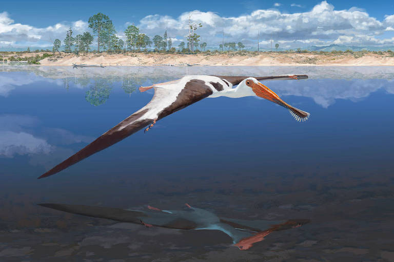 Portugal agora tem um pterossauro para chamar de seu