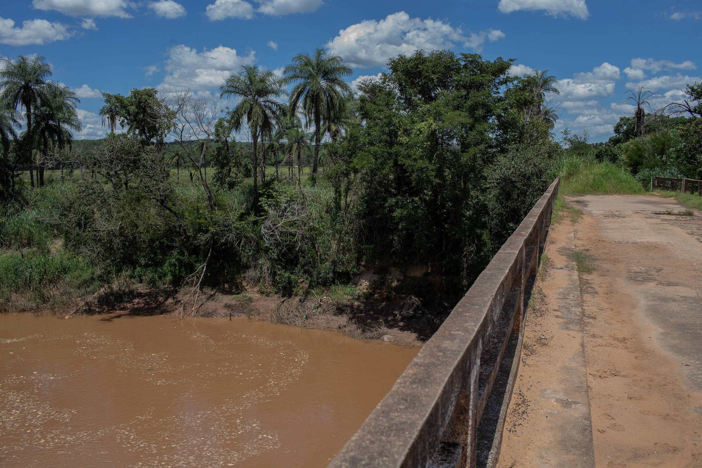 Paraopeba River continues with waters polluted by mud from Vale – 01/24/2024 – Environment