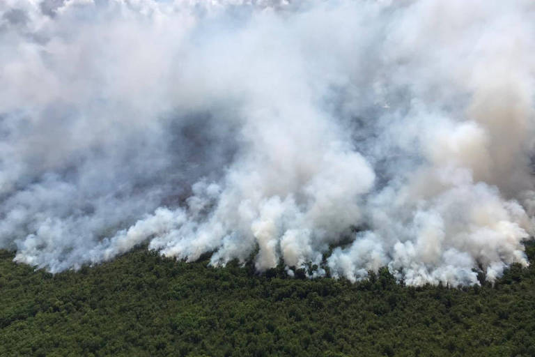 Incêndio atinge há um mês reserva amazônica no Amapá