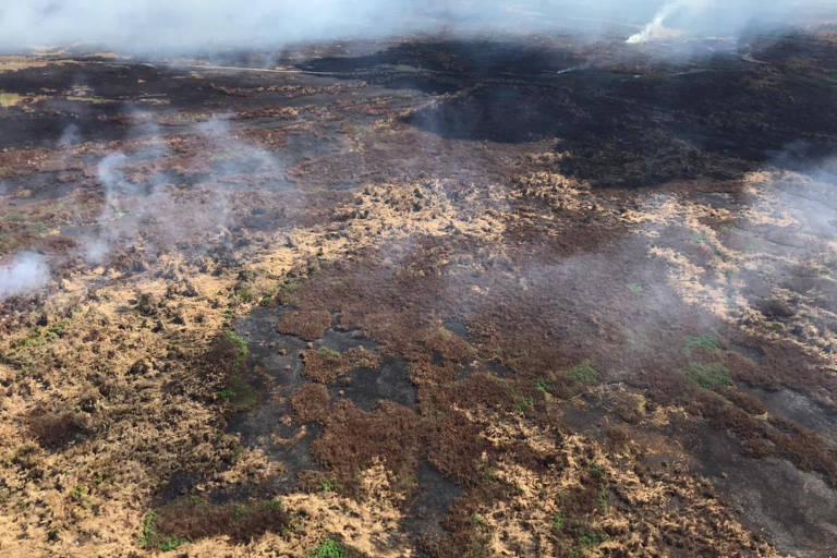 foto aérea de região de vegetação amarelada e terra em chamas