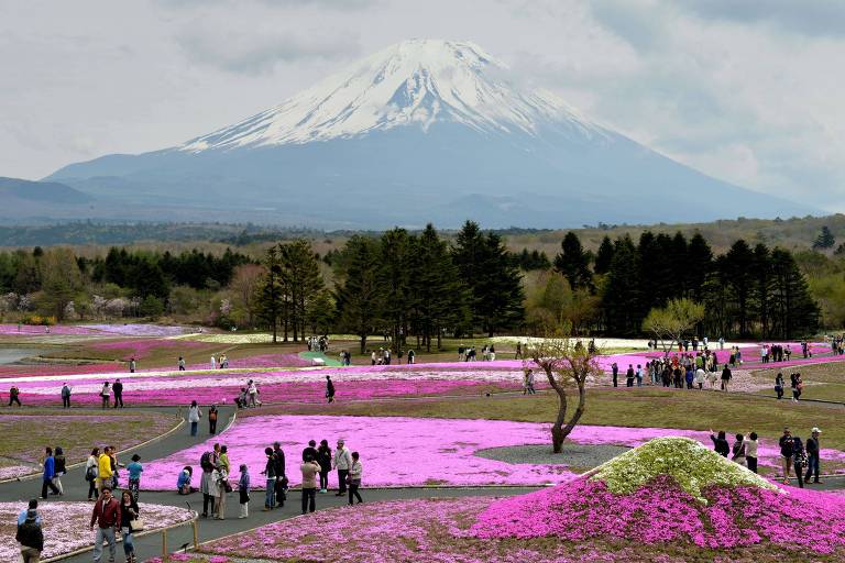 Visitantes passeiam em jardim coberto por mais de 800 mil flores durante o festival Shibazakura, próximo ao monte Fuji, no Japão