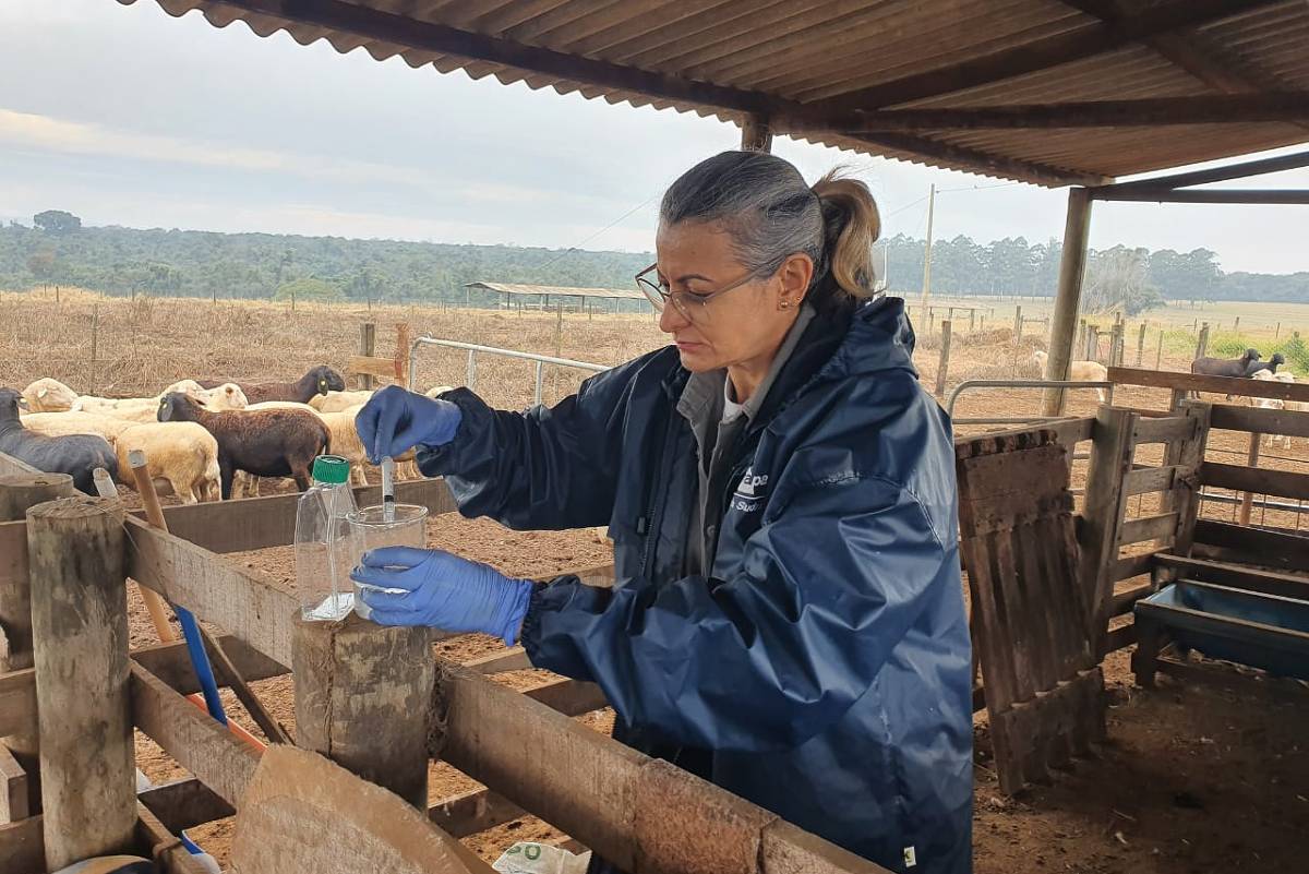 Associação Internacional de Ecologia Feminina