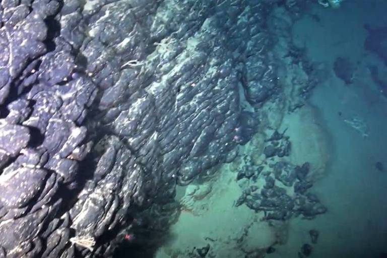 Elevação do Rio Grande era gigantesca ilha tropical próxima ao Brasil e rica em minério