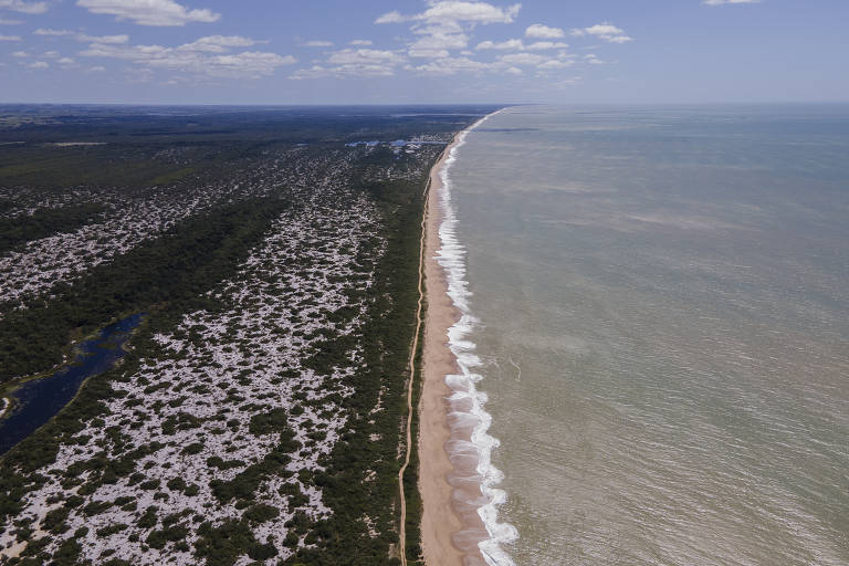 Parque Nacional da Restinga de Jurubatiba, em Macaé (RJ), ameaçado pela atividade humana
