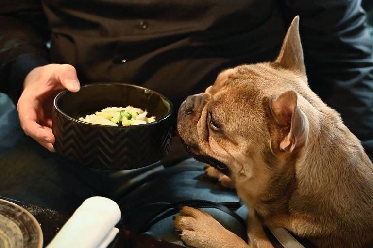 Chefs italianos criam restaurante para cães