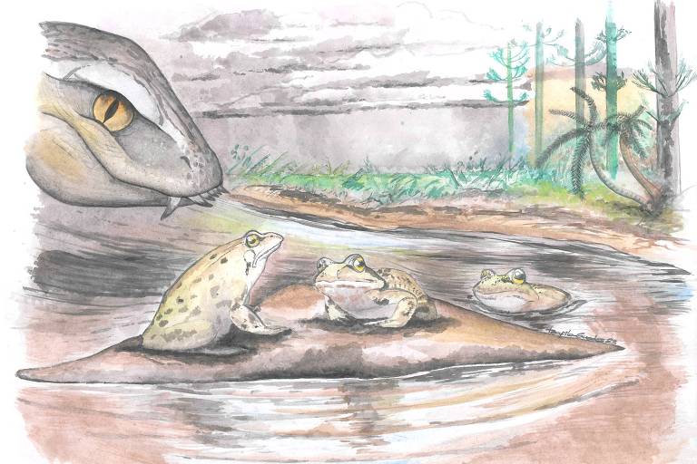 Ilustração de Mariliabatrachus navai, novo fóssil de sapo para o Cretáceo brasileiro