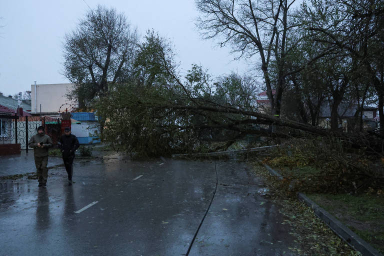 Tempestade derruba árvores na Criméia; veja fotos de hoje