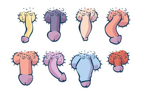 Ilustração tipos de pênis Folhateen