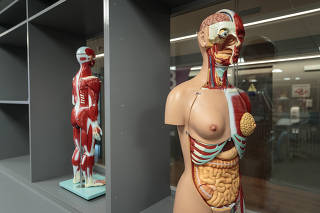 FACULDADE SÍRIO LIBANÊS