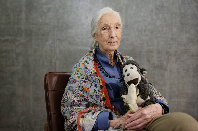 Jane Goodall com o seu macaquinho de pelúcia (apelidado por ela de Mister H) em evento na capital paulista 