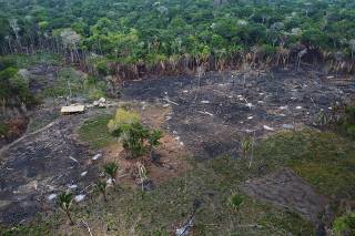 Área da floresta Amazônica queimada e desmatada, no município de Autazes (AM)