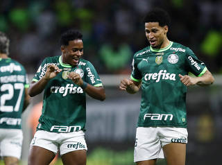 Brasileiro Championship - Palmeiras v America Mineiro