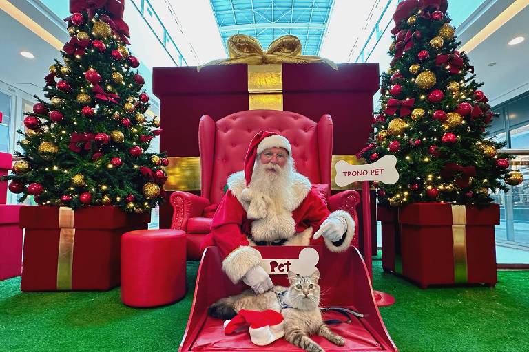 Papai Noel e Árvore da Audoção; saiba onde fazer a foto de Natal do pet em SP