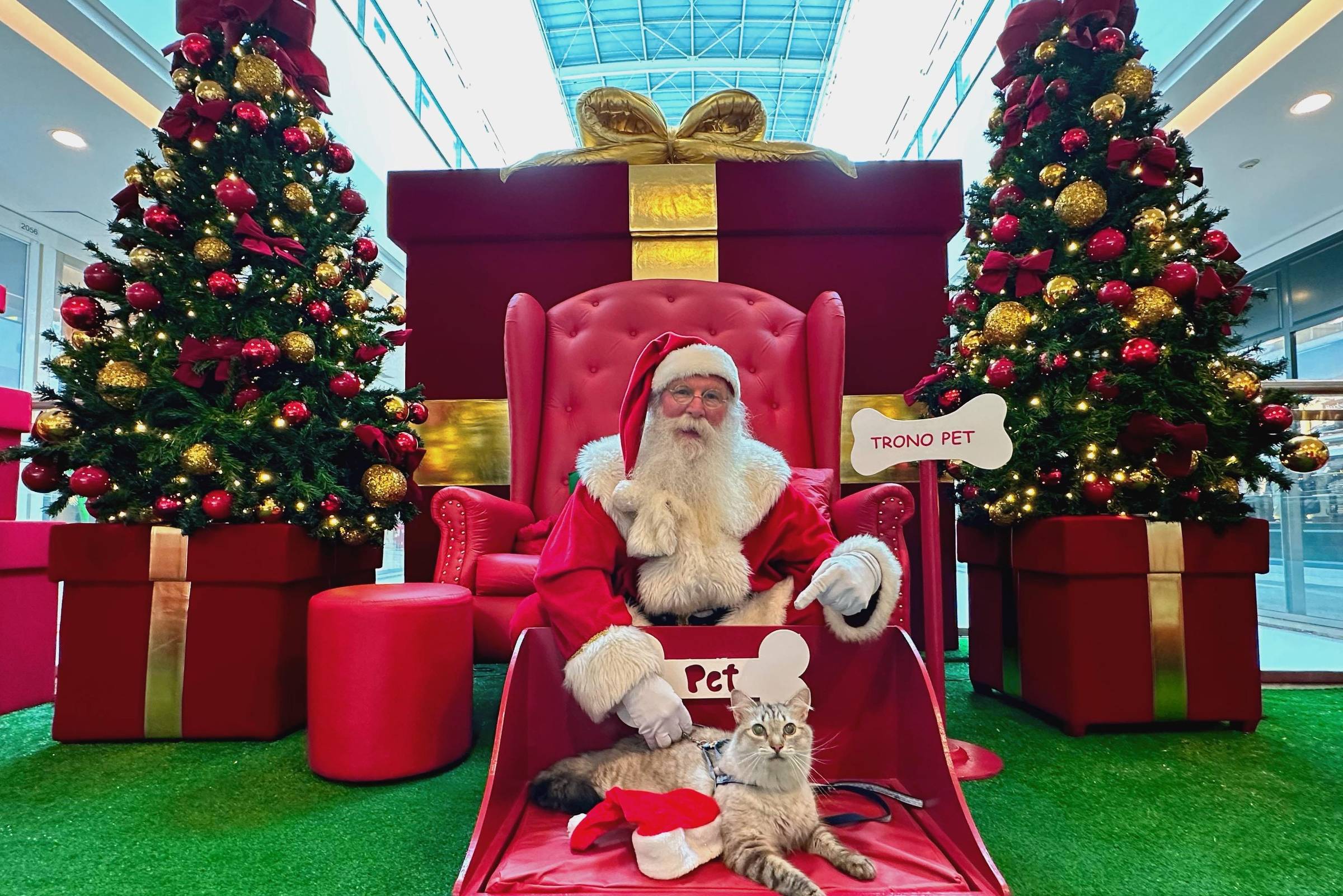 Selfie do Papai Noel