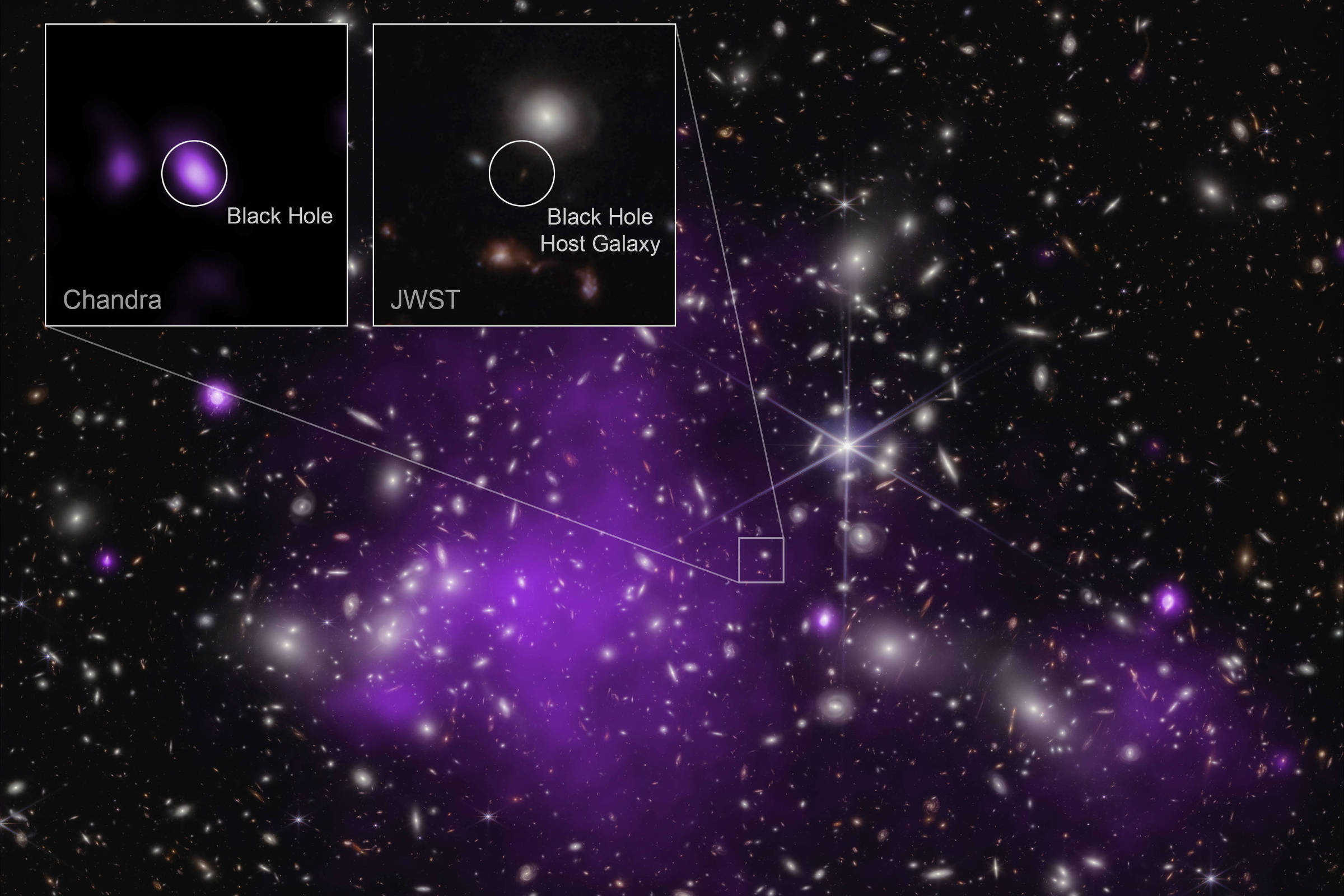 Astronomers find black hole that was born giant – 12/03/2023 – Messenger Sideral