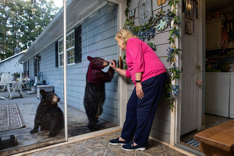 Interação entre mulher e dois ursos na porta de sua casa