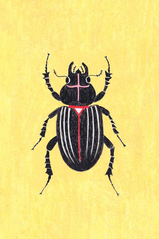 Ilustração de Carolina Guimarães Couto para "A Disponibilidade da Alma", de Marina Colasanti