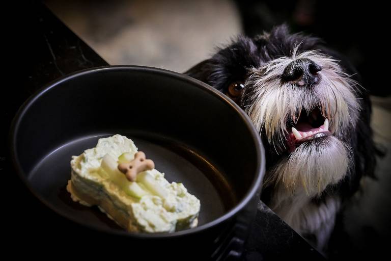 Restaurante cria pratos para cães com preços de até R$ 100