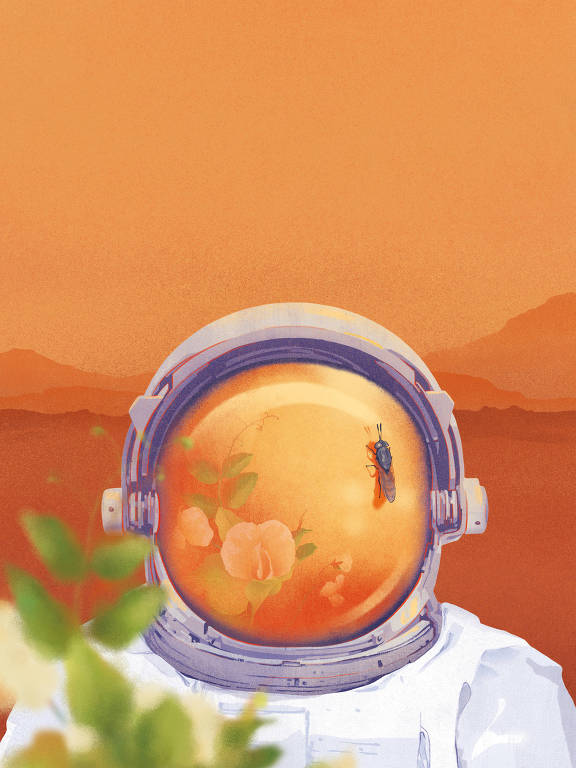 Ilustração com astronauta com capacete, em um fundo vermelho; no visor do capacete, há um inseto e também o reflexo de uma planta
