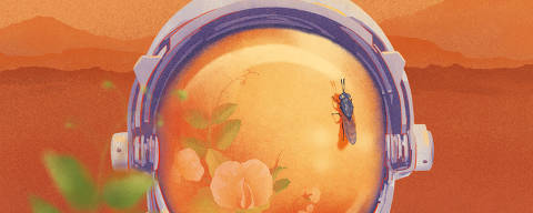 If humans are ever going to live on the red planet, they?re going to have to bring bugs with them. (Adara Sanchez/The New York Times) -- FOR EDITORIAL USE ONLY WITH NYT STORY SCI MARS CROPS INSECTS BY SARAH SCOLES FOR NOV. 27, 2023. ALL OTHER USE PROHIBITED. -- ORG XMIT: XNYT0786