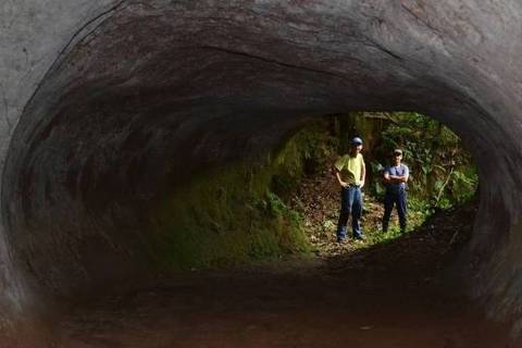 Paleotoca no sul do Brasil, região que concentra centenas de túneis construídos por animais pré-históricos