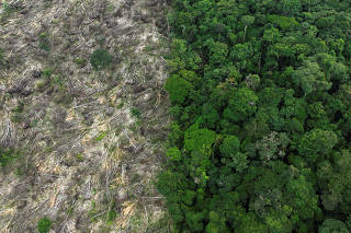 FILE PHOTO: Drone footage shows deforestation in Brazilian Amazon