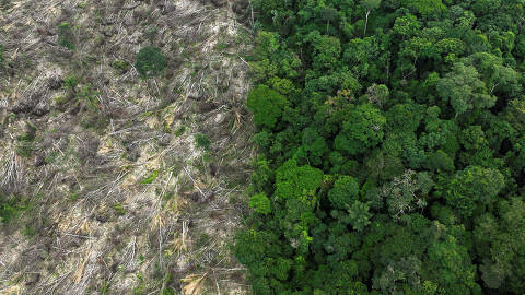 An aerial view shows a deforested area during an operation to combat deforestation near Uruara, Para State, Brazil January 21, 2023. REUTERS/Ueslei Marcelino ORG XMIT: FW1