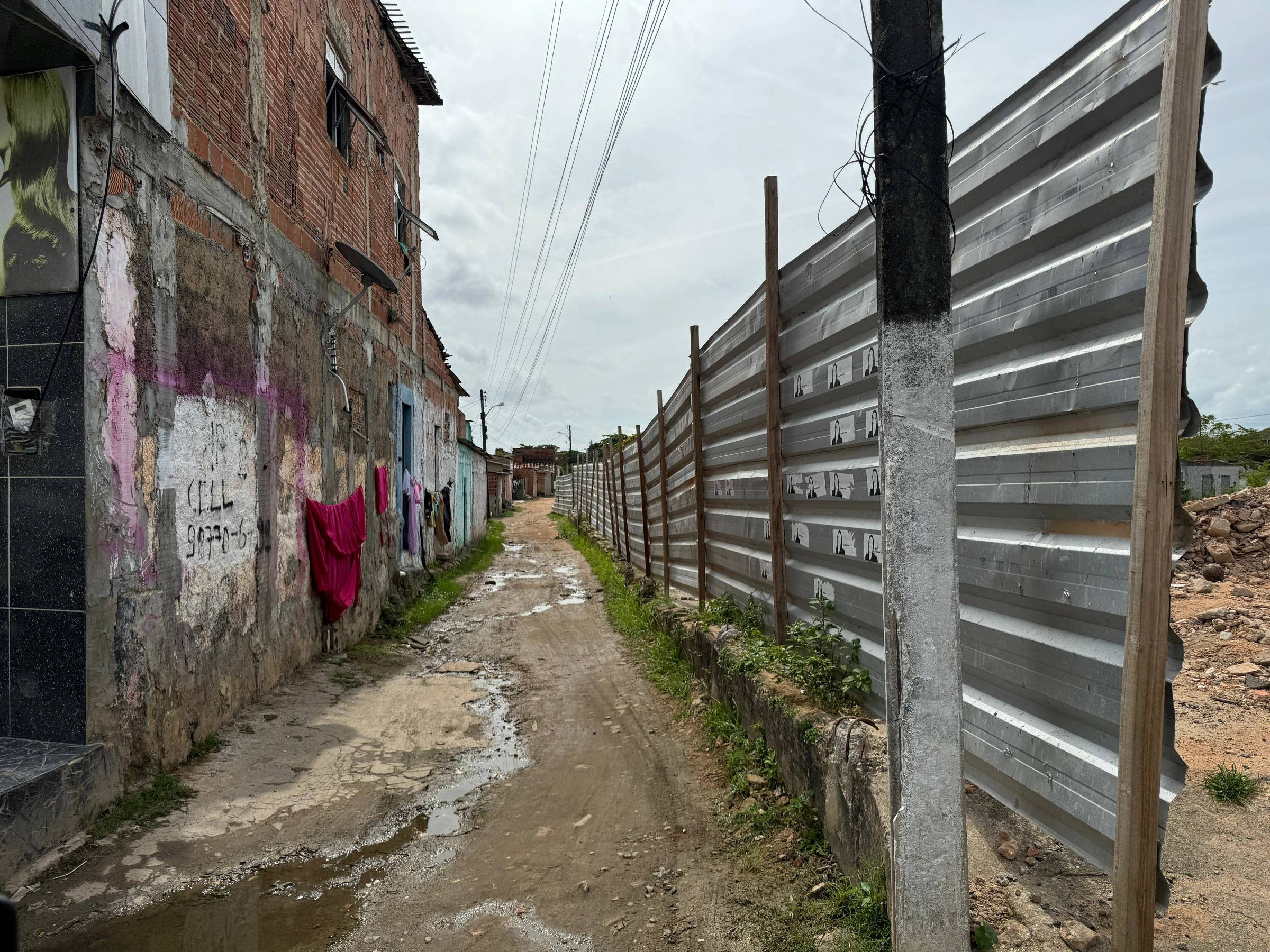 Invasão dos ratos gigantes