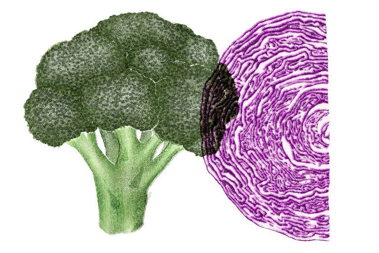 ilustração de brócolis