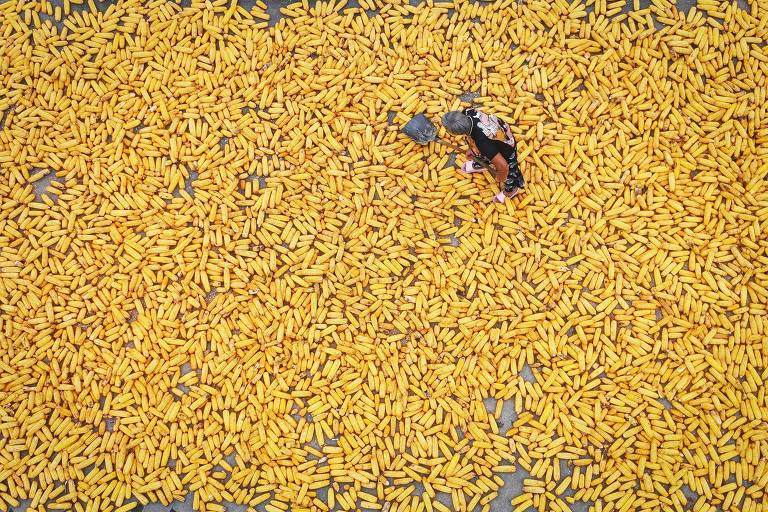 Milhos espalhados pelo chão em vila na China