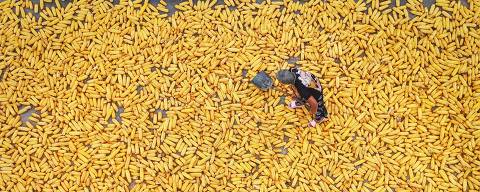 A farmer dries harvested corn at a village in Lianyungang, in China's eastern Jiangsu province on September 21, 2023. (Photo by AFP) / China OUT