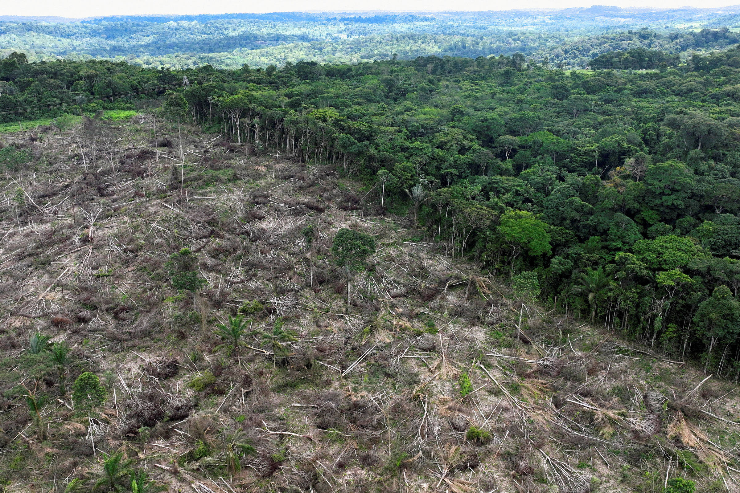 BNDES aprova novo Fundo Clima com R$ 10 bi para projetos sustentáveis