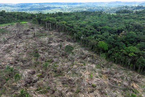 FILE PHOTO: An aerial view shows a deforested area during an operation to combat deforestation near Uruara, Para State, Brazil January 21, 2023. REUTERS/Ueslei Marcelino/File Photo ORG XMIT: FW1