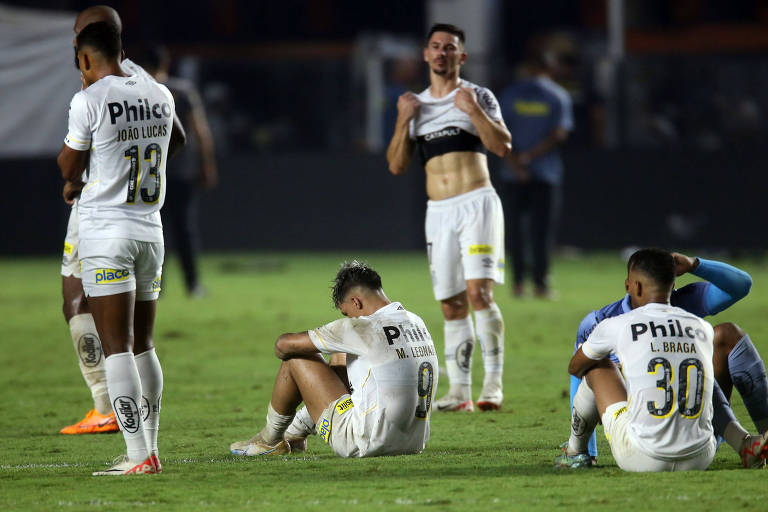 Santos Futebol Clube - Ainda não conheceu a nova Vila? É a sua