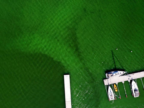 FILE PHOTO: An aerial view of toxic blue-green algae bloom on the Baltic Sea coast at Tyreso near Stockholm, Sweden, June 25, 2020. Pontus Lundahl/TT News Agency/via REUTERS      ATTENTION EDITORS - THIS IMAGE WAS PROVIDED BY A THIRD PARTY. SWEDEN OUT. NO COMMERCIAL OR EDITORIAL SALES IN SWEDEN./File Photo ORG XMIT: FW1