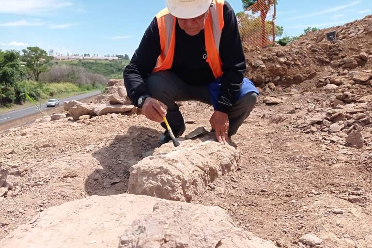 Fósseis que podem ser de titanossauro são encontrados durante obra em Minas