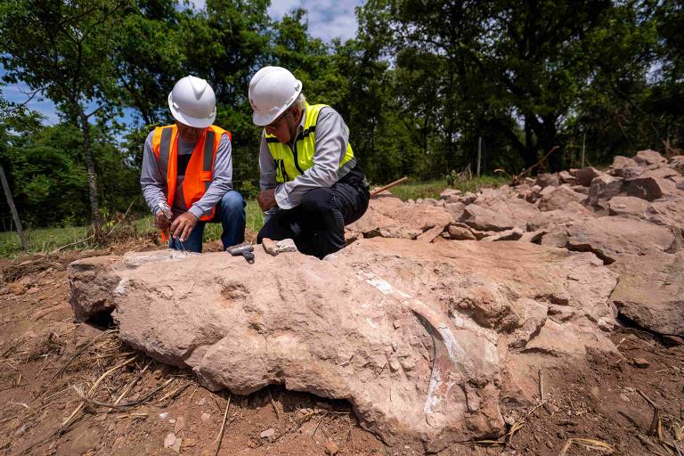 Fósseis que podem ser de titanossauro são encontrados em Minas